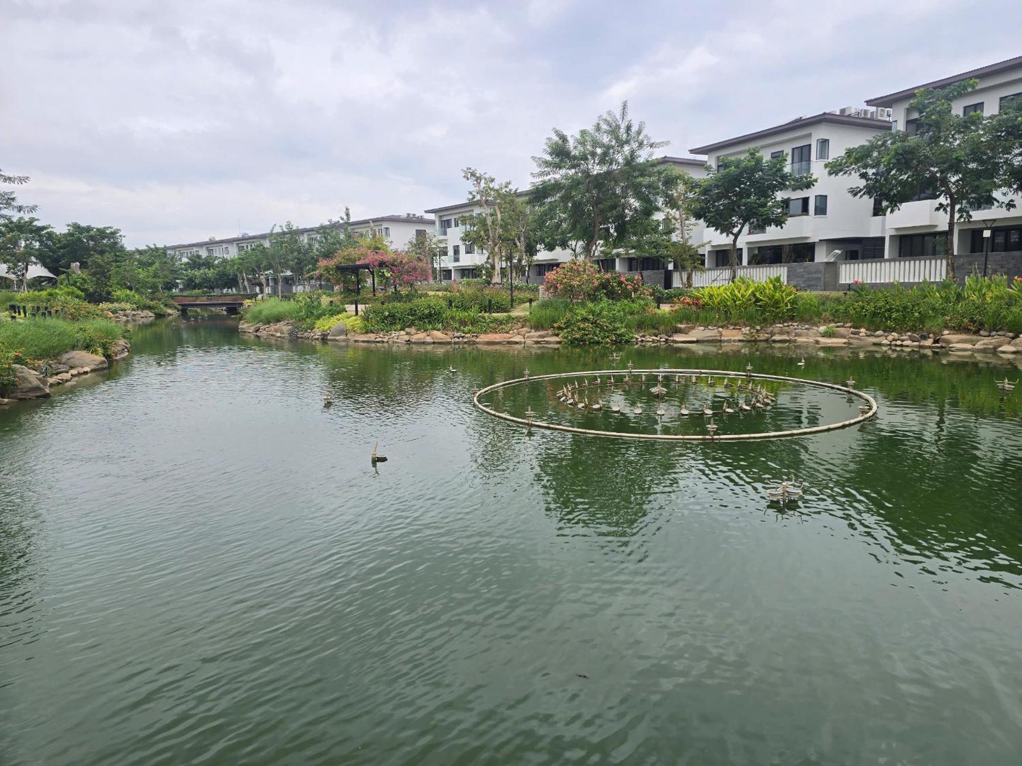 Zozo House - Homestay Bai Sau Vũng Tàu Exterior foto